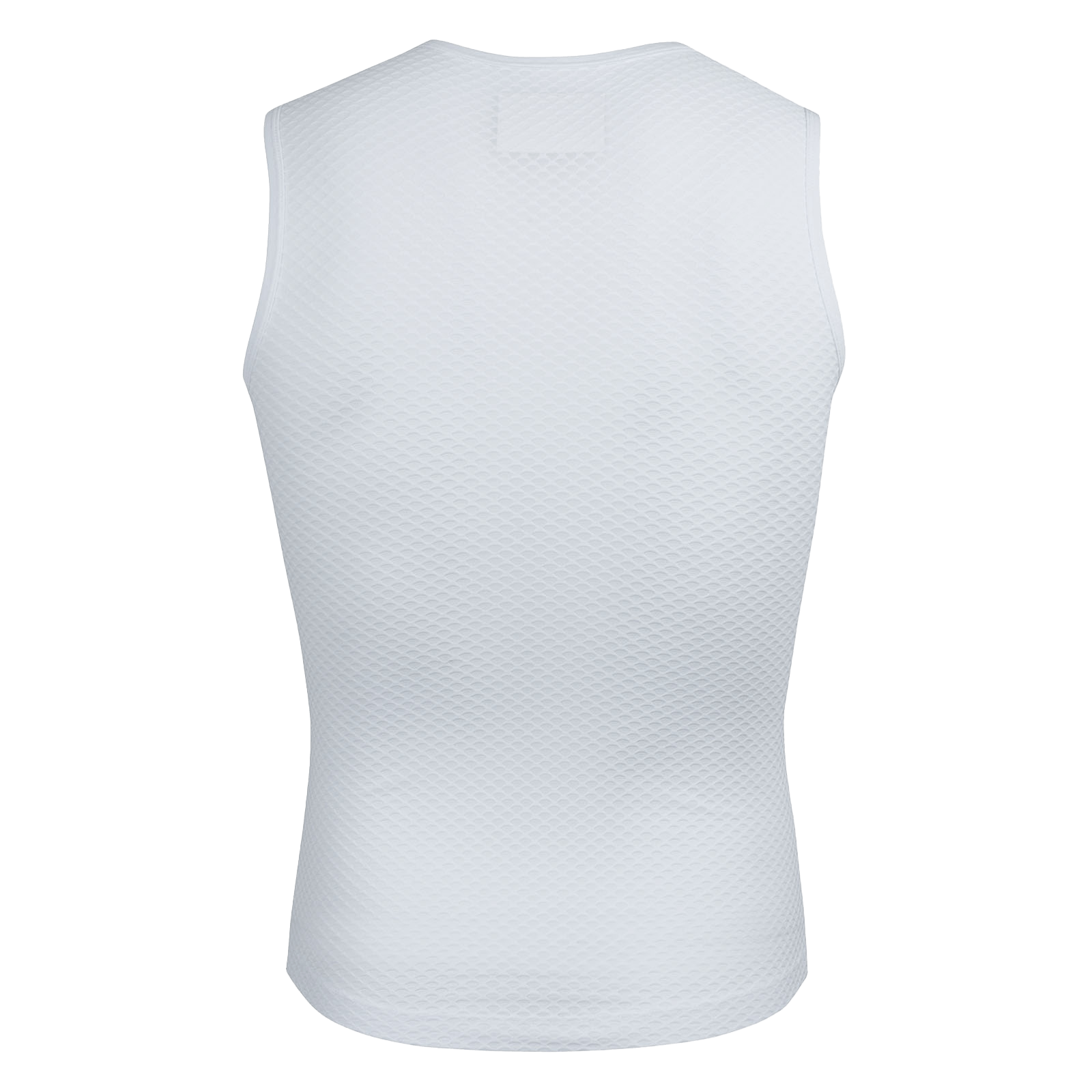Base Layer