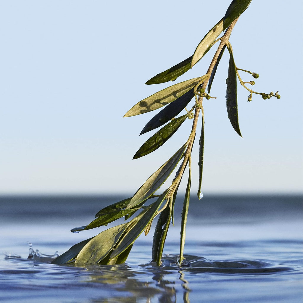 HUGO BOSS BOTTLED INFINITE parfum