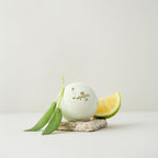 Bath Bomb Fresh Balance