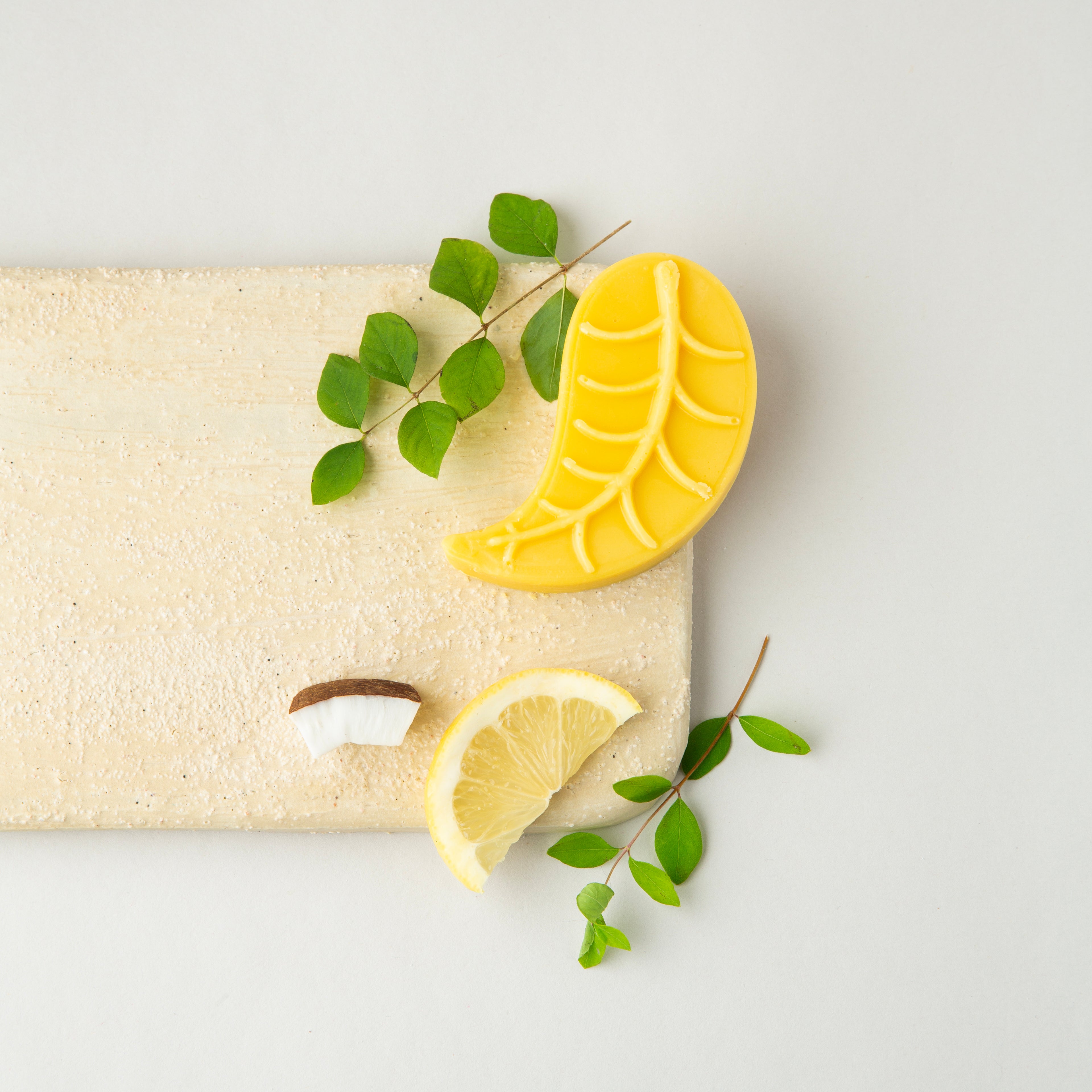 Shampoo & Conditioner Bar Set