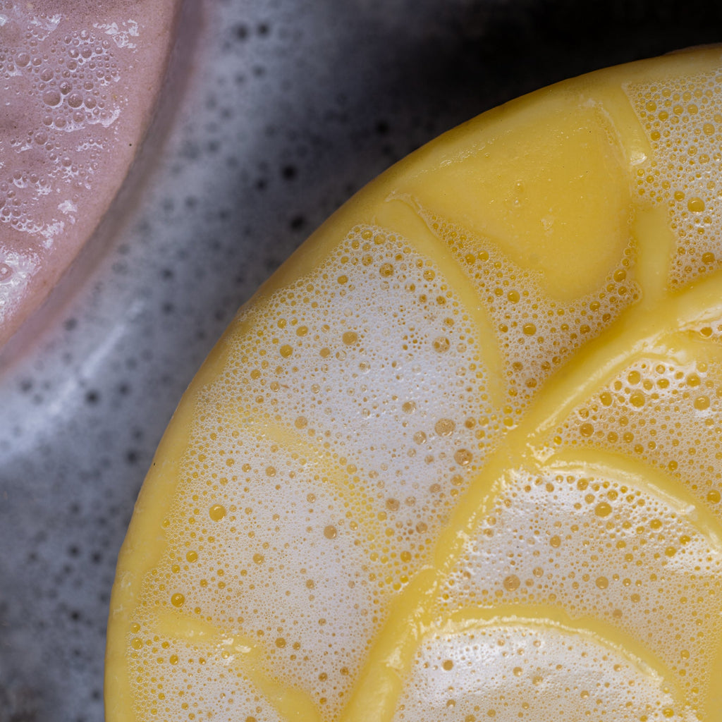 Shampoo & Conditioner Bar Set